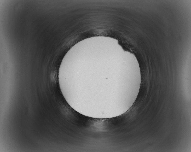 X0000083070090200703022207