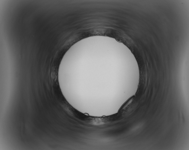 X0000083070091200703022207