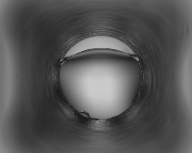 X0000083070092200703022207