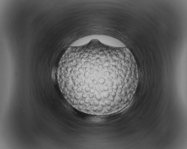 X0000083070094200703022207