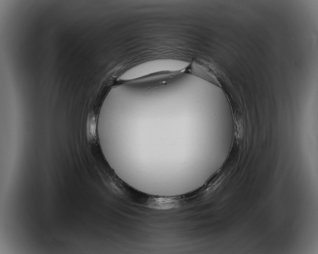 X0000083070095200703022207