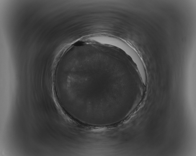 X0000083070097200703022206