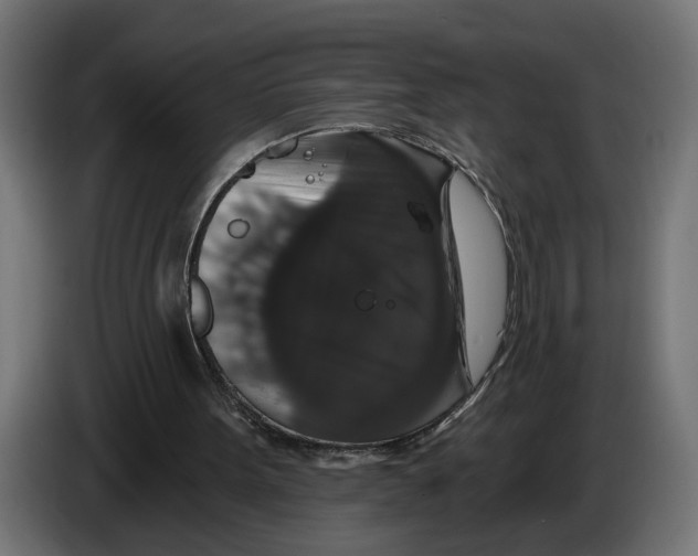 X0000083070099200703022206