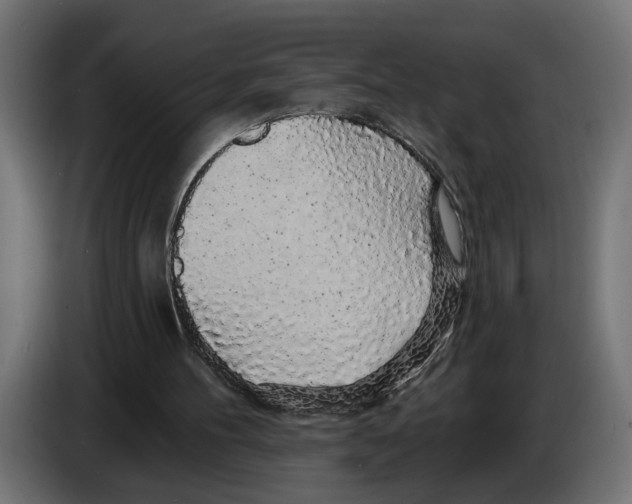 X0000083070100200703022206