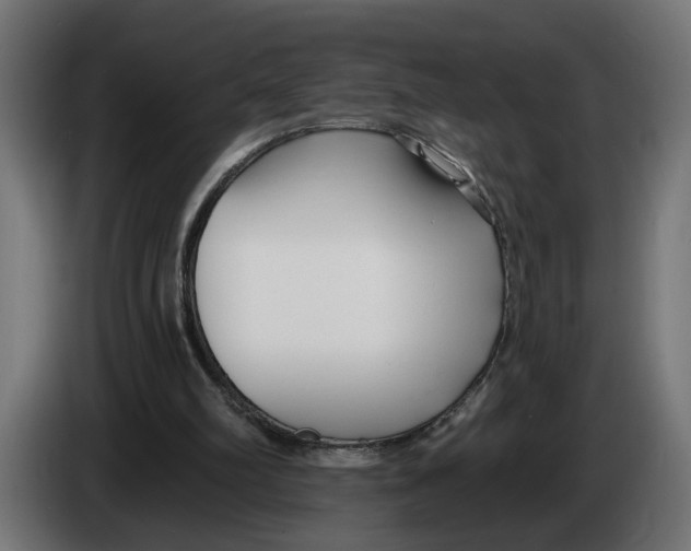 X0000083070102200703022206