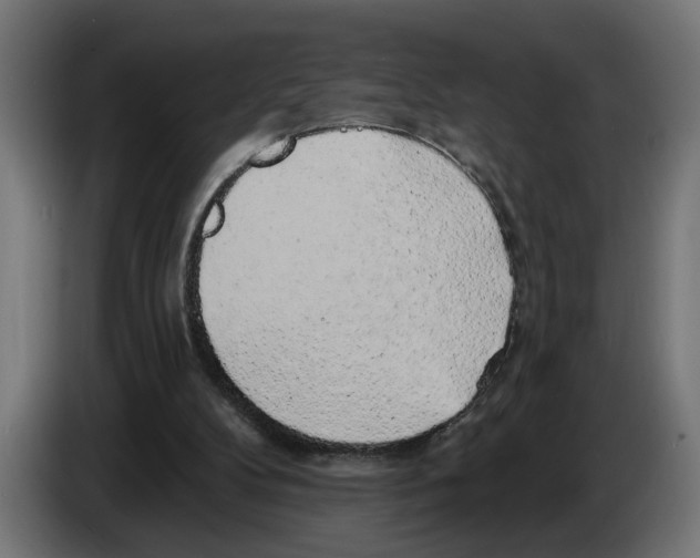 X0000083070104200703022206