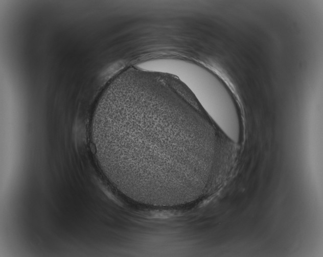 X0000083070105200703022206