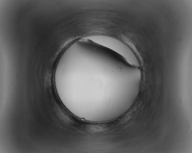 X0000083070106200703022206