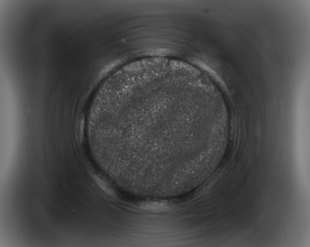 X0000083070110200703022206