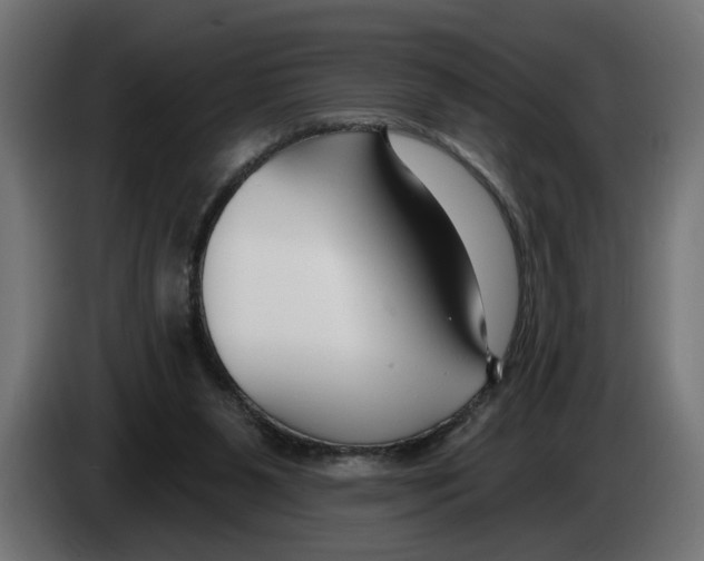 X0000083070111200703022206