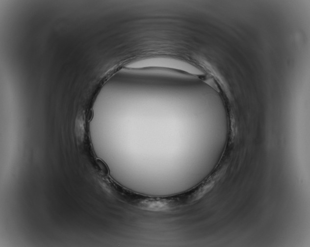 X0000083070113200703022206