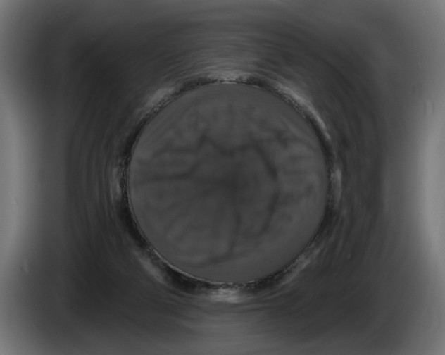 X0000083070114200703022206