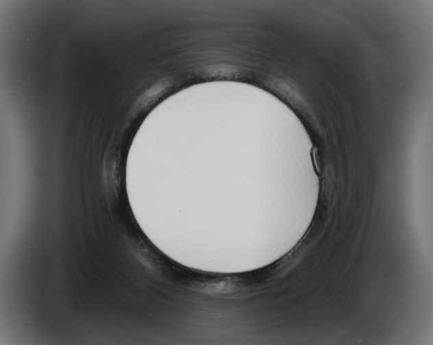 X0000083070116200703022206