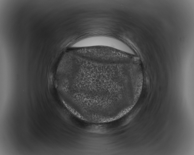 X0000083070117200703022206