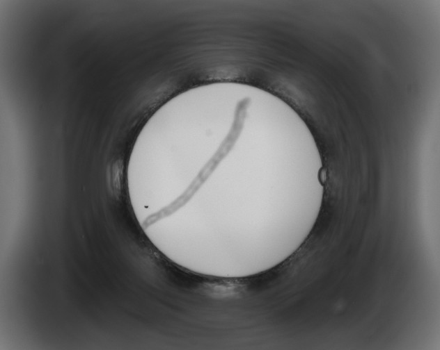 X0000083070118200703022206