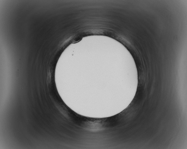 X0000083070120200703022206