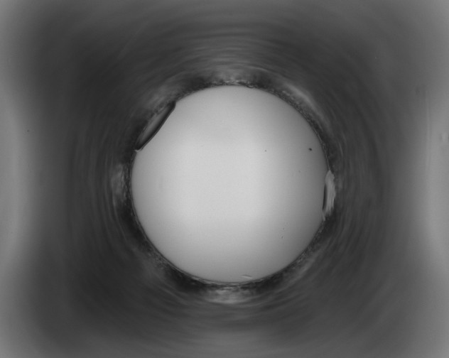 X0000083070121200703022206