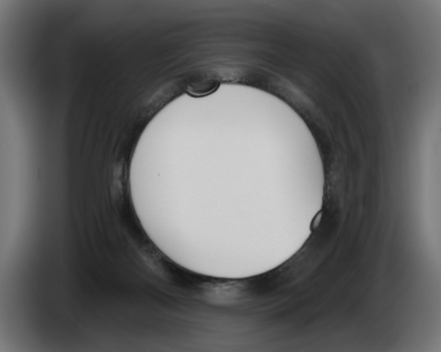 X0000083070122200703022206