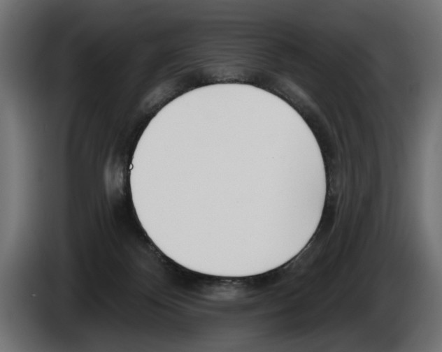 X0000083070124200703022206