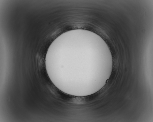 X0000083070126200703022206