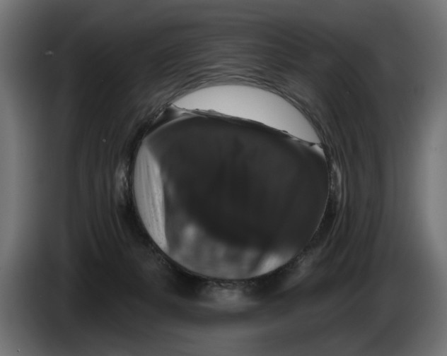 X0000083070127200703022206