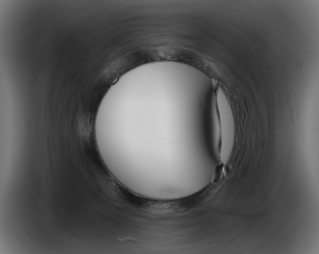 X0000083070129200703022206