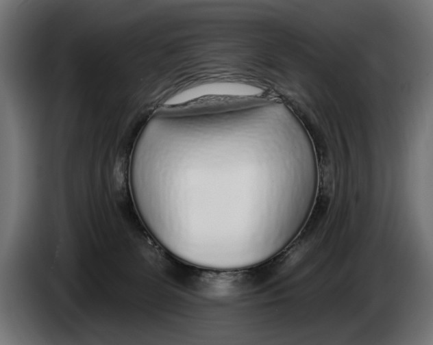 X0000083070131200703022206