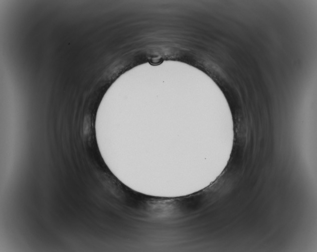 X0000083070132200703022206