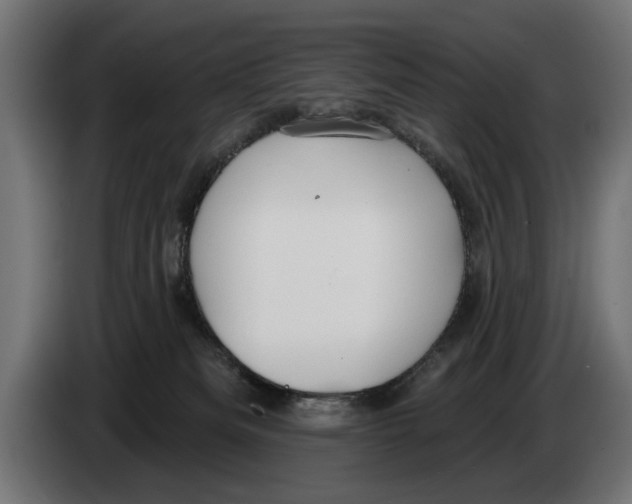 X0000083070133200703022206