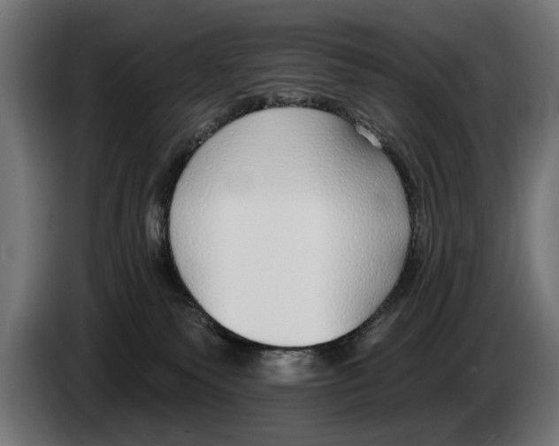 X0000083070135200703022205