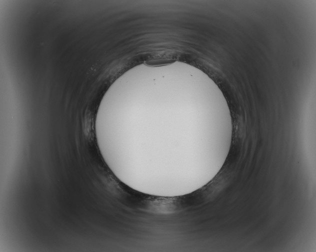 X0000083070138200703022205