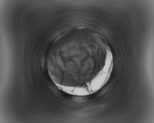 X0000083070139200703022205