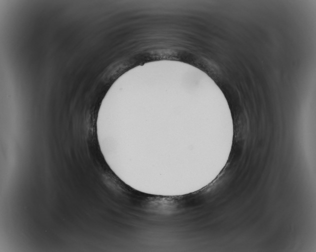 X0000083070140200703022205