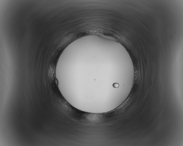 X0000083070142200703022205