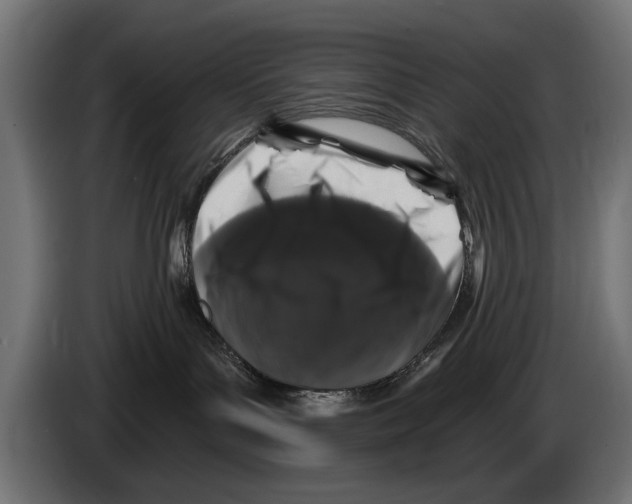 X0000083070143200703022205