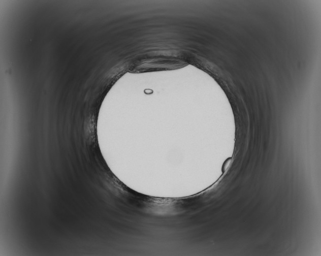 X0000083070144200703022205