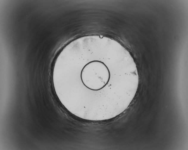 X0000083070146200703022205