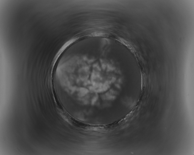 X0000083070147200703022205