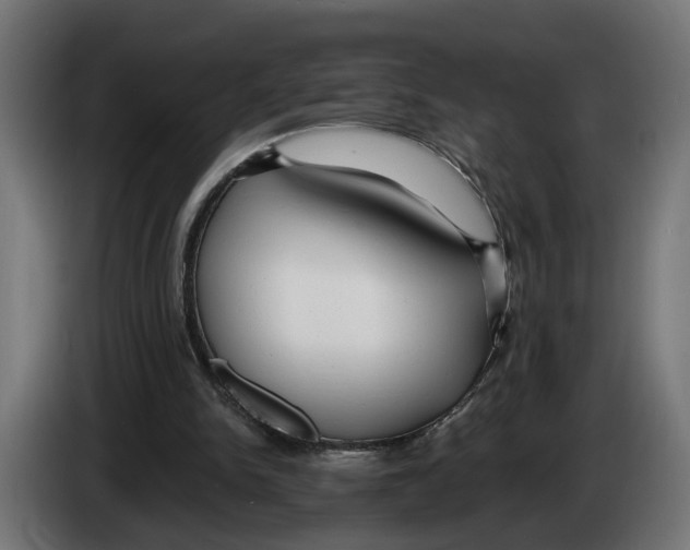 X0000083070150200703022205