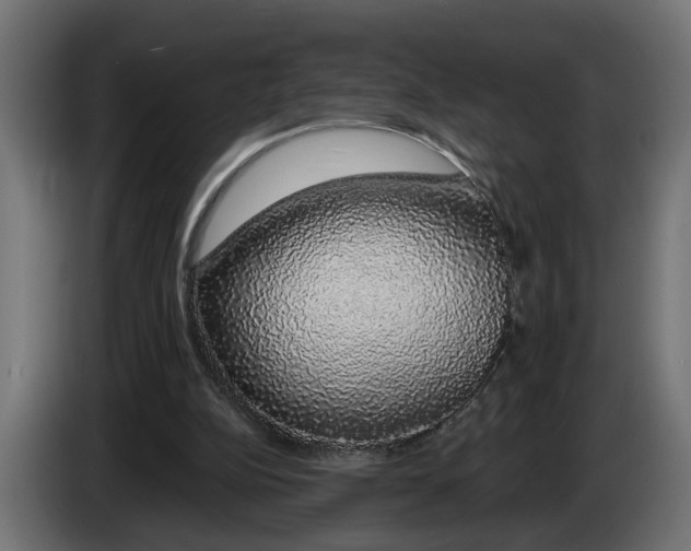 X0000083070152200703022205