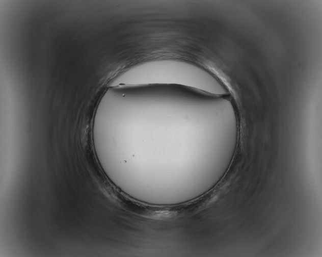 X0000083070153200703022205