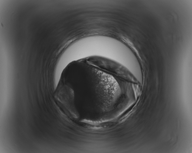 X0000083070154200703022205