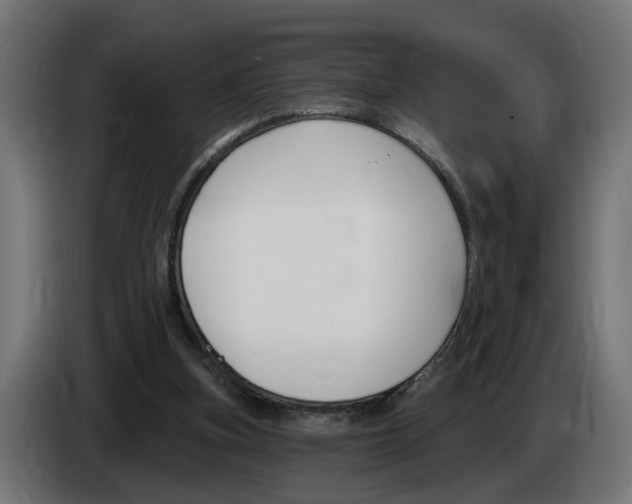 X0000083070155200703022205