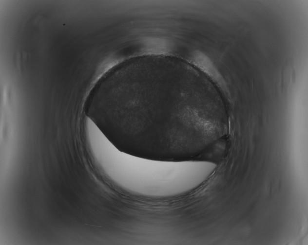 X0000083070156200703022205