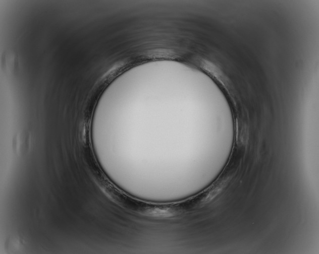 X0000083070157200703022205