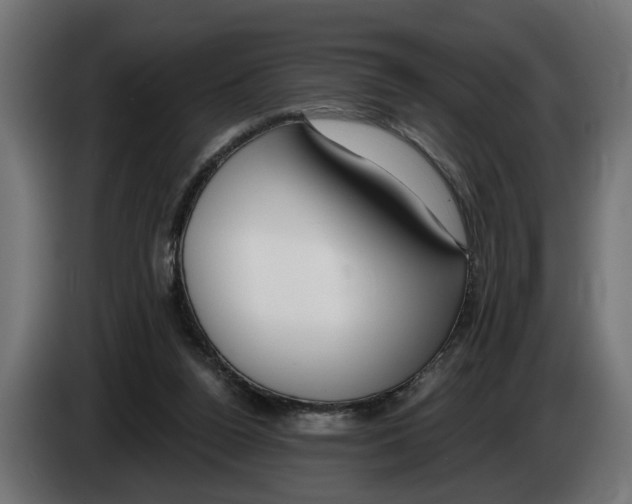 X0000083070160200703022205