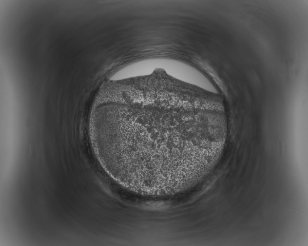 X0000083070161200703022205