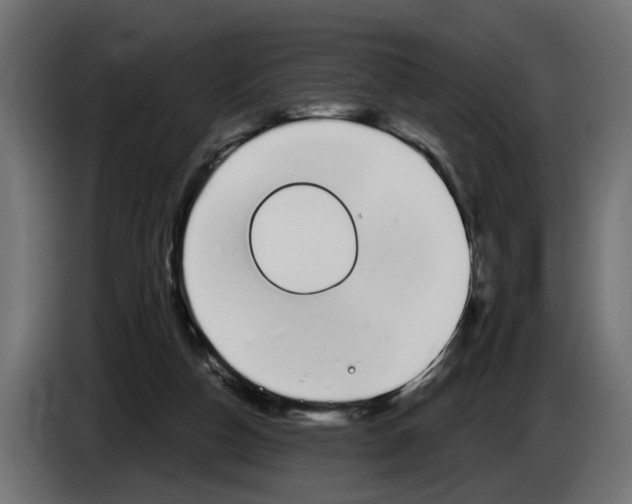 X0000083070162200703022205