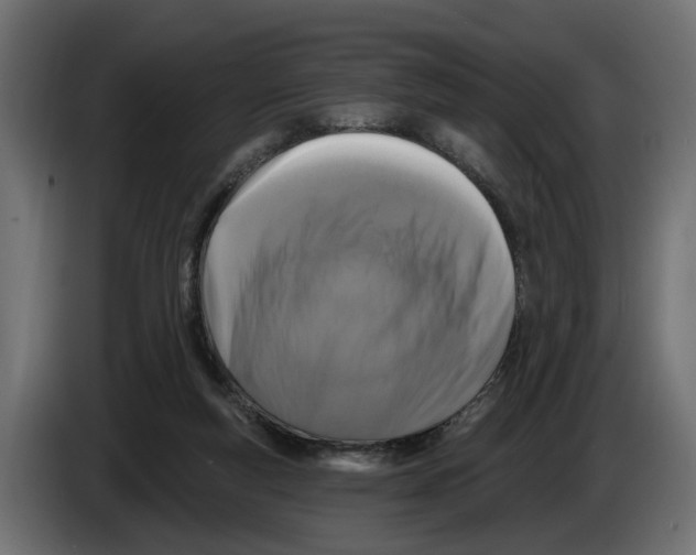 X0000083070163200703022205