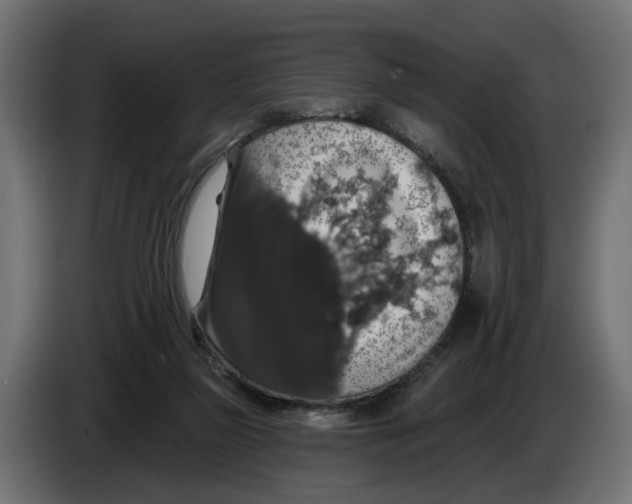 X0000083070165200703022205